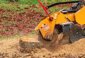 Best Stump Grinding and Removal  in Twin Falls, ID